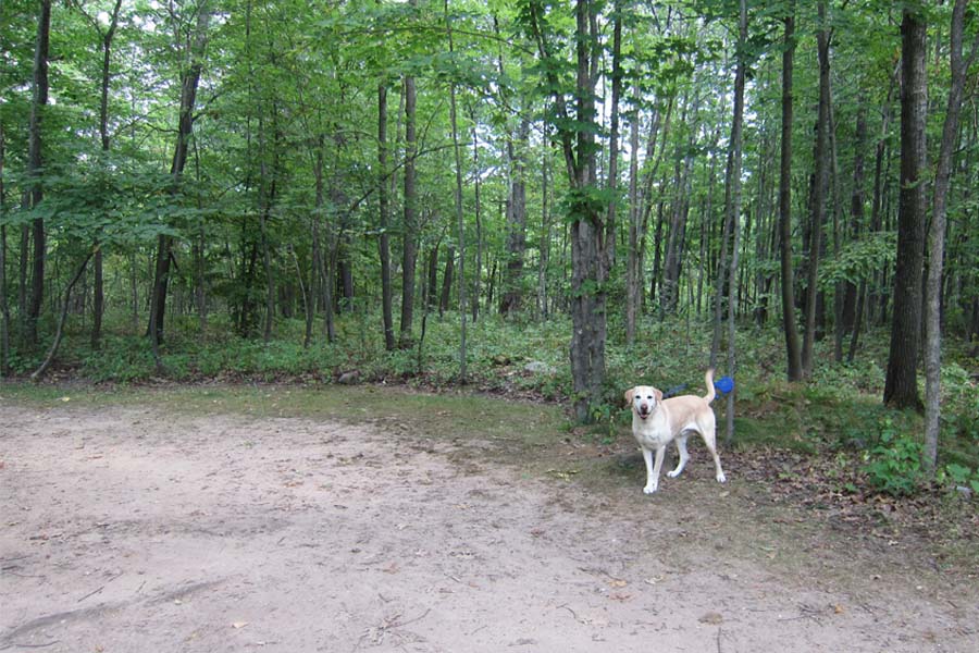 I Heart Minnesota: Mille Lacs Kathio State Park